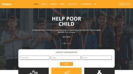 Non Profit Donation Website Template