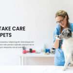 Pets Care Website Template