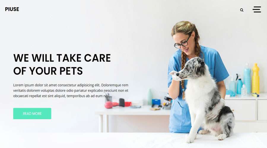 Pets Care Website Template