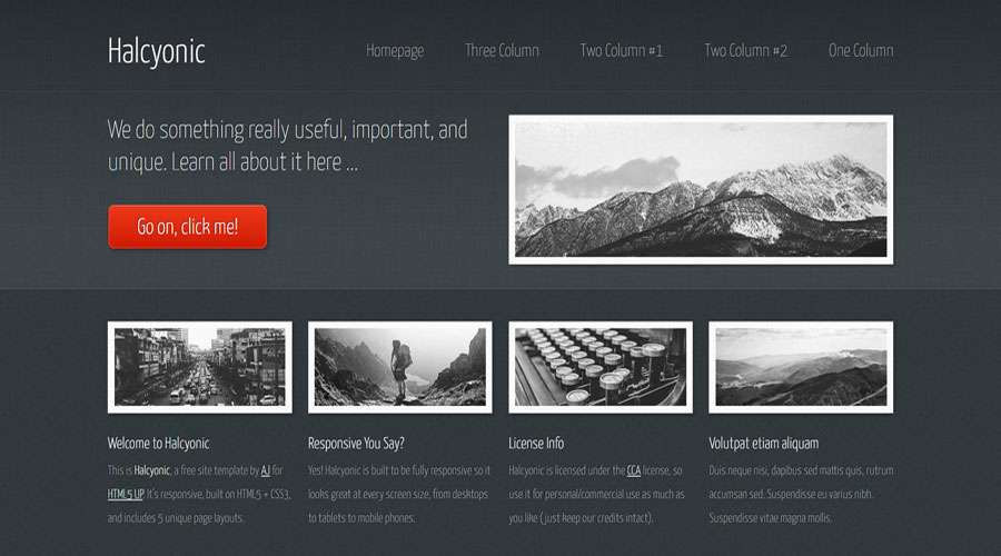 Free HTML CSS Website Template