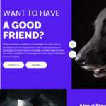 Free Pets Website Template